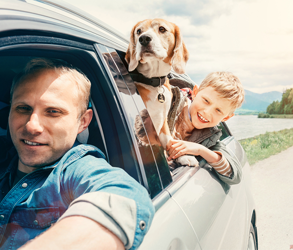 Georgia Auto Owners with Auto Insurance Coverage
