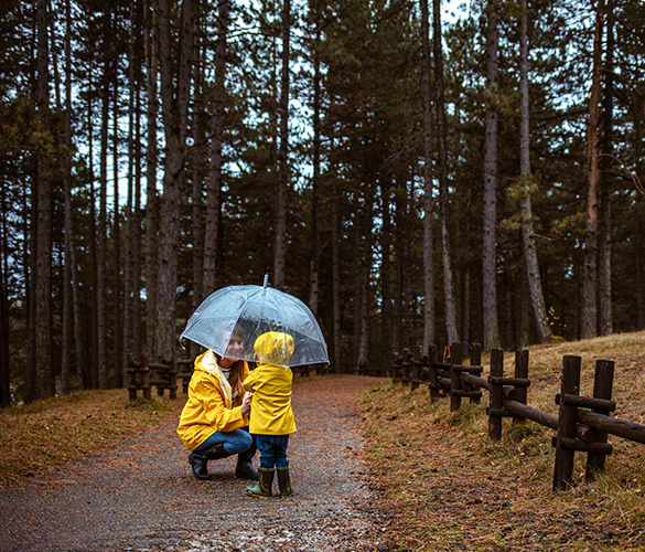 Georgia Umbrella Insurance Coverage